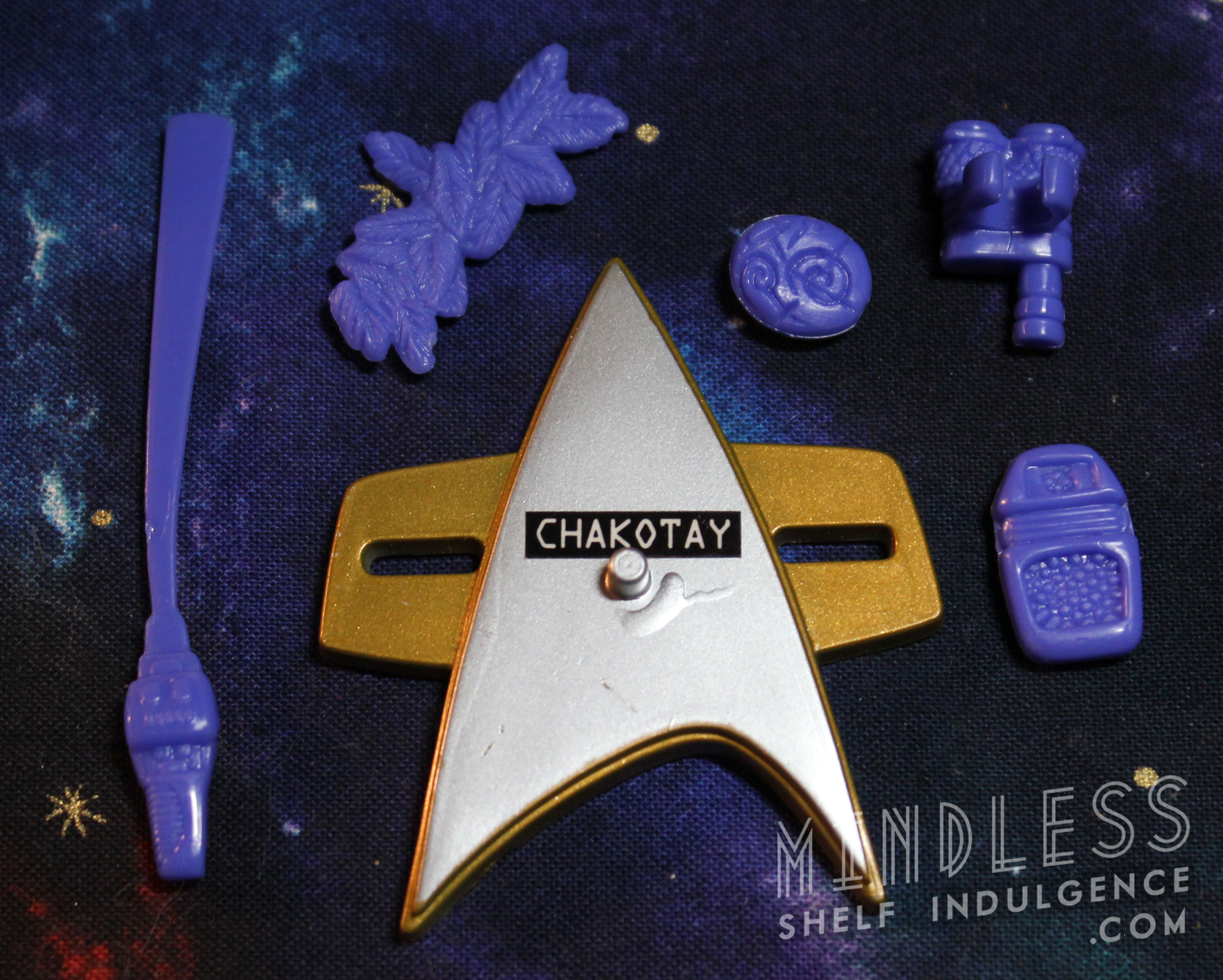 Chakotay's accessories