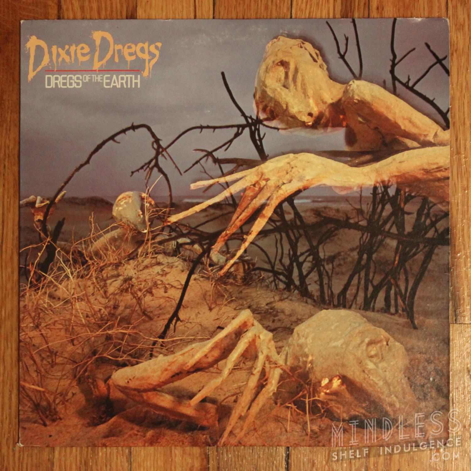Dixie Dregs of the Earth LP