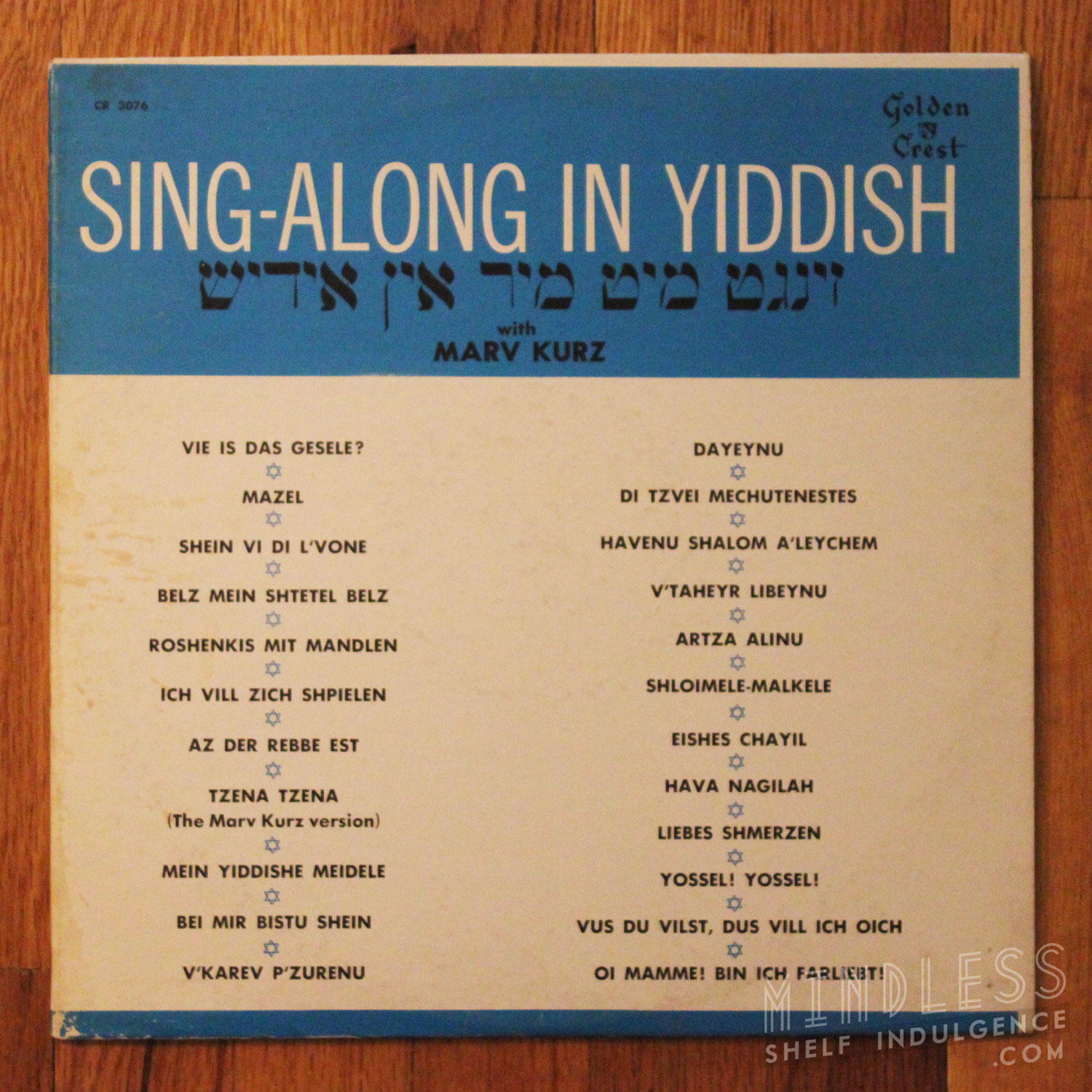 Sing Along in Yiddish LP